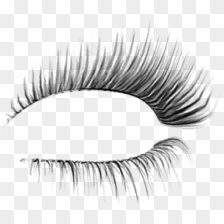 Free Png Download Classis Eyelash Png Images Background - Pestañas Png Para Photoshop Clipart