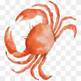 Crab Clipart Arm - 螃蟹 素材 - Png Download
