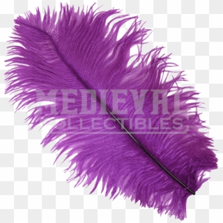 Purple Ostrich Feather Plume - Feathers Purple Transparent Clipart