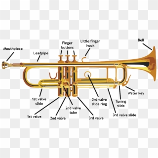 Trumpet Parts - All Parts Of A Trumpet Clipart