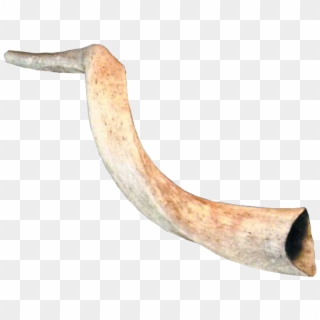 834 X 898 6 - Horn Trumpet Png Clipart