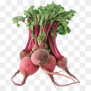 Beet - Beets Vegetable Png Clipart