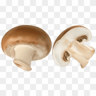 Free Png Download Sliced Brown Mushroom Png Images - Champignon Png Clipart