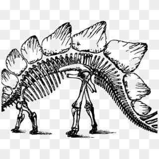 Free On Dumielauxepices Net Stegosaurus - Long Ago Did The Dinosaurs Clipart