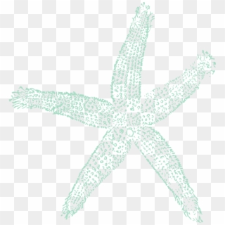 Original Png Clip Art File Sea Blue Starfish Svg Images Transparent Png